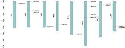 Genome-wide analysis of the carotenoid cleavage dioxygenases gene family in Forsythia suspensa: Expression profile and cold and drought stress responses